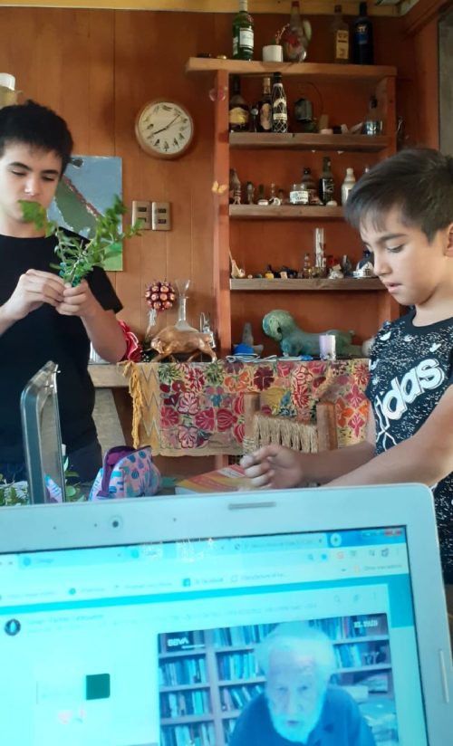 Domingo de Ramos en casa