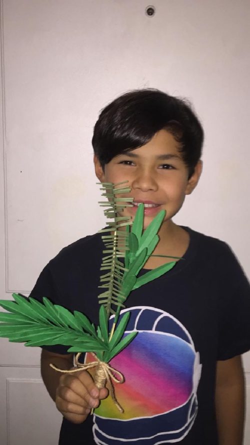 Domingo de Ramos en casa