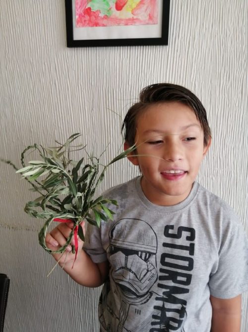 Domingo de Ramos en casa
