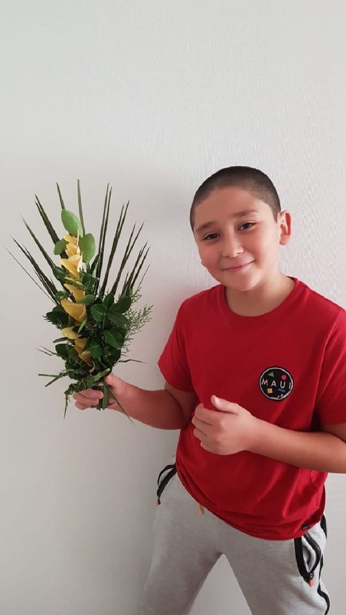 Domingo de Ramos en casa