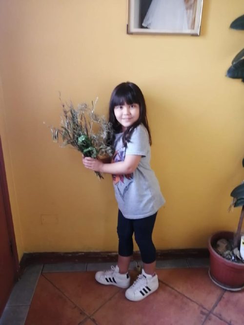 Domingo de Ramos en casa