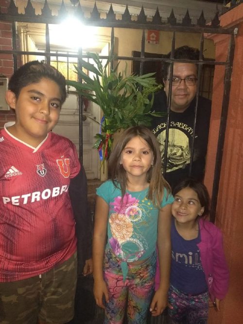 Domingo de Ramos en casa