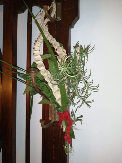 Domingo de Ramos en casa