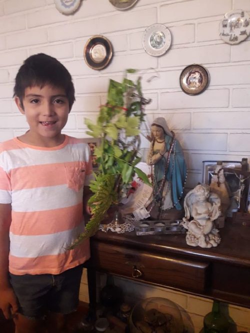 Domingo de Ramos en casa