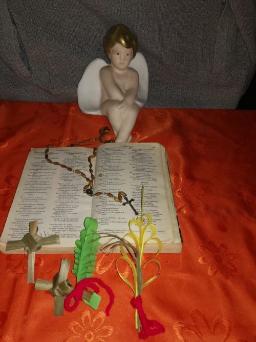 Domingo de Ramos en casa