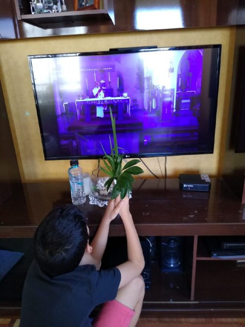 Domingo de Ramos en casa