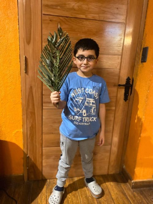 Domingo de Ramos en casa