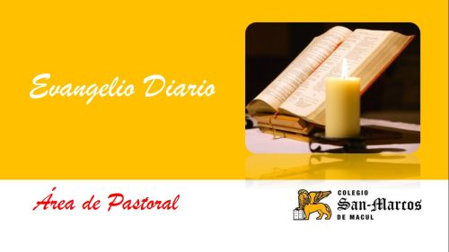 Oración diaria: semana del 2 al 5 de noviembre