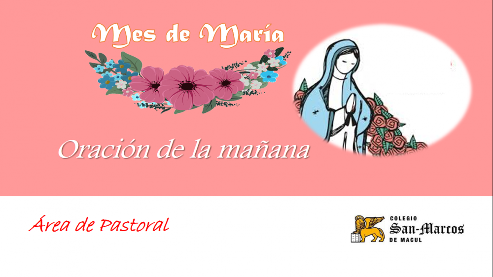 Oración diaria: “Mes de María”, del 8 al 12 de noviembre