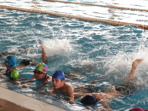 Ramas deportivas y Talleres, retorno a las actividades