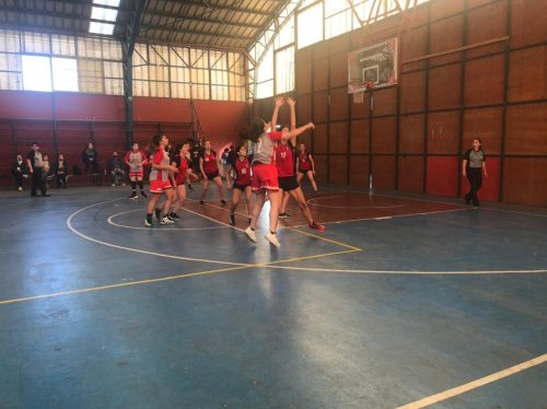 Nuevos triunfos para las leonas y leones de Macul en el Básquetbol UC
