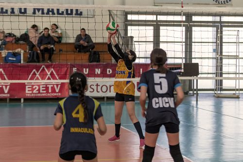Olimpiadas BostonEduca: Vóleibol Mini Damas