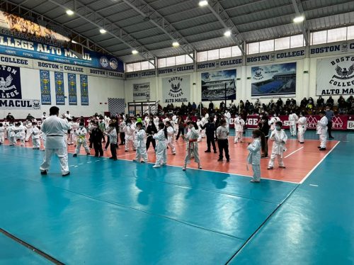 RAMA DE KARATE EN ENTRENAMIENTO MASIVO