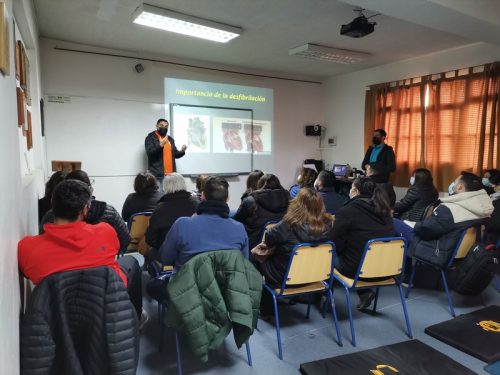 Capacitación DEA