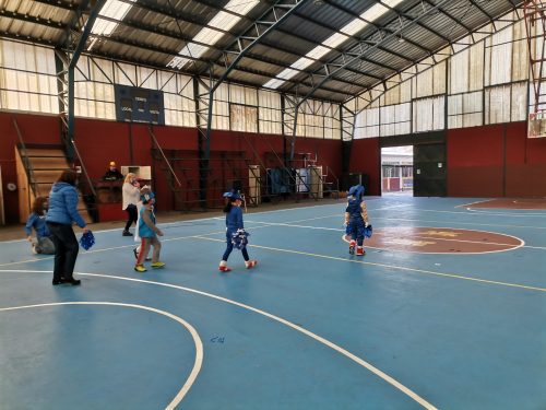 Alianzas Pre escolar a 6° Básico