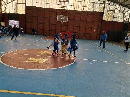 Alianzas Pre escolar a 6° Básico
