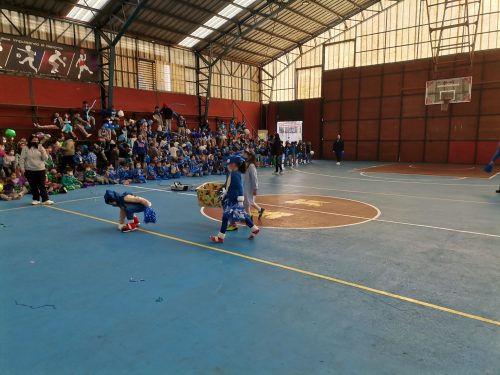 Alianzas Pre escolar a 6° Básico