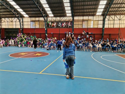 Alianzas Pre escolar a 6° Básico