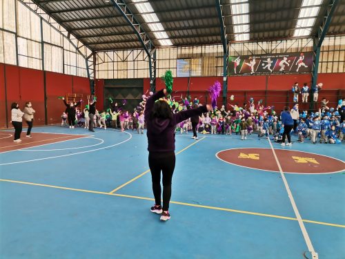 Alianzas Pre escolar a 6° Básico