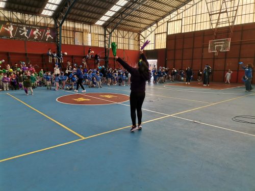 Alianzas Pre escolar a 6° Básico