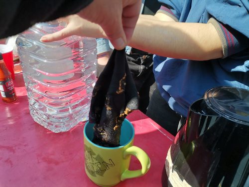 Fotos y Videos del Último día de Alianzas