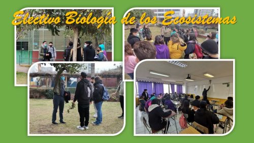 Electivo de III° y IV° Medio trabaja en Proyecto Científico sobre biodiversidad
