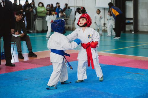 Olimpiadas BostonEduca: Karate