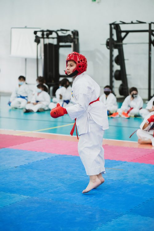 Olimpiadas BostonEduca: Karate