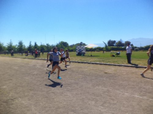 Olimpiadas BostonEduca: Atletismo (años anteriores)
