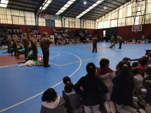 Presentación Escuela Adiestramiento Canino