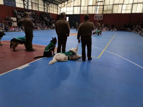 Presentación Escuela Adiestramiento Canino