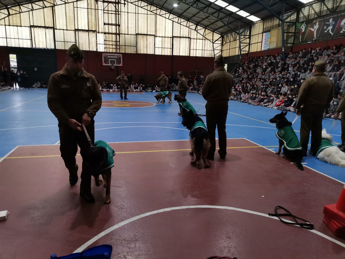 Presentación Escuela Adiestramiento Canino