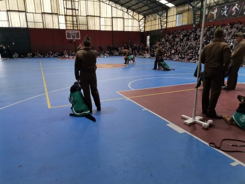 Presentación Escuela Adiestramiento Canino