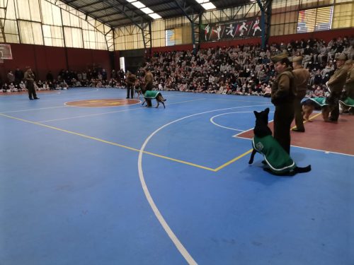 Presentación Escuela Adiestramiento Canino
