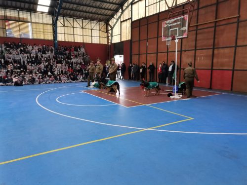 Presentación Escuela Adiestramiento Canino