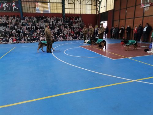 Presentación Escuela Adiestramiento Canino