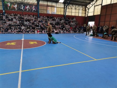 Presentación Escuela Adiestramiento Canino