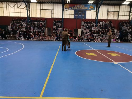 Presentación Escuela Adiestramiento Canino