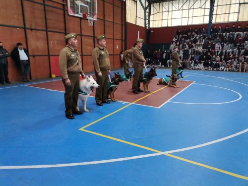 Presentación Escuela Adiestramiento Canino