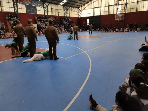 Presentación Escuela Adiestramiento Canino