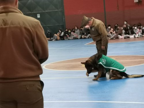 Presentación Escuela Adiestramiento Canino