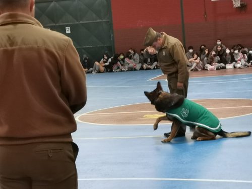 Presentación Escuela Adiestramiento Canino