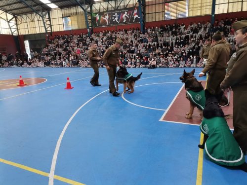 Presentación Escuela Adiestramiento Canino