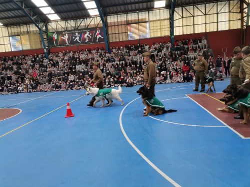 Presentación Escuela Adiestramiento Canino