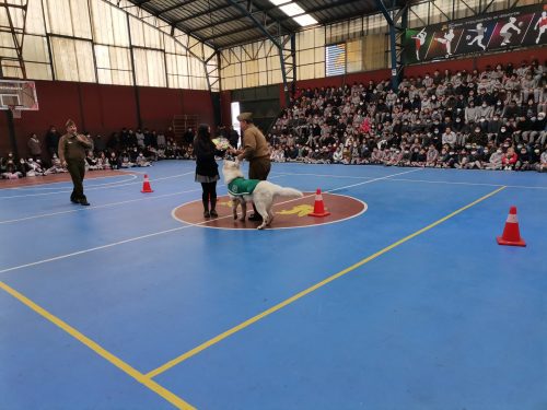 Presentación Escuela Adiestramiento Canino
