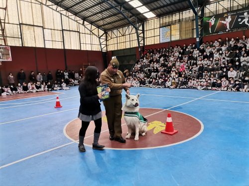 Presentación Escuela Adiestramiento Canino