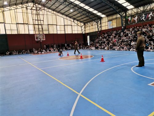 Presentación Escuela Adiestramiento Canino