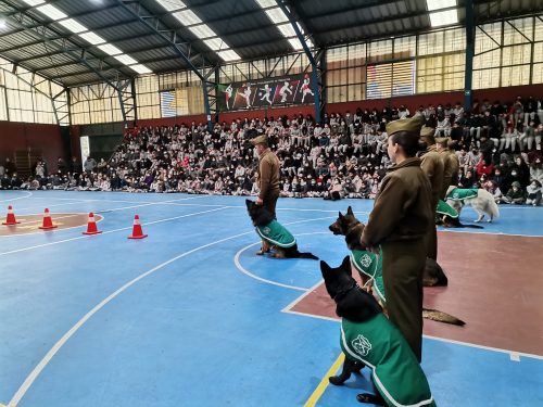 Presentación Escuela Adiestramiento Canino