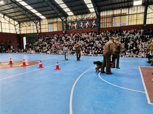 Presentación Escuela Adiestramiento Canino
