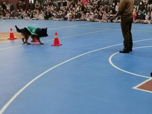 Presentación Escuela Adiestramiento Canino